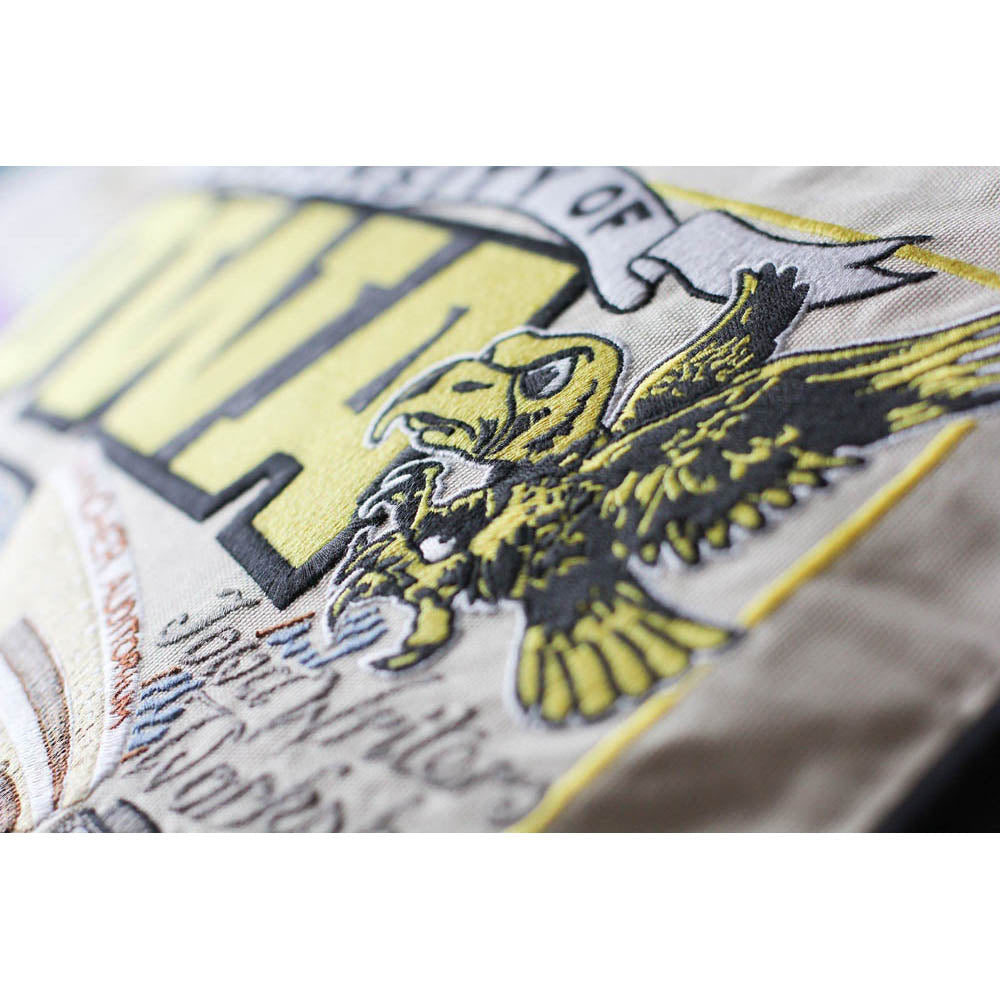 Iowa, University of Collegiate Embroidered Pillow by CatStudio-2