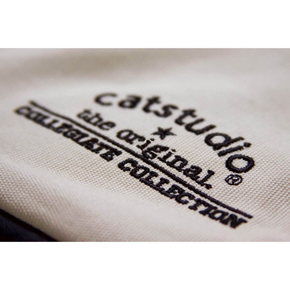 Iowa, University of Collegiate Embroidered Pillow by CatStudio-3